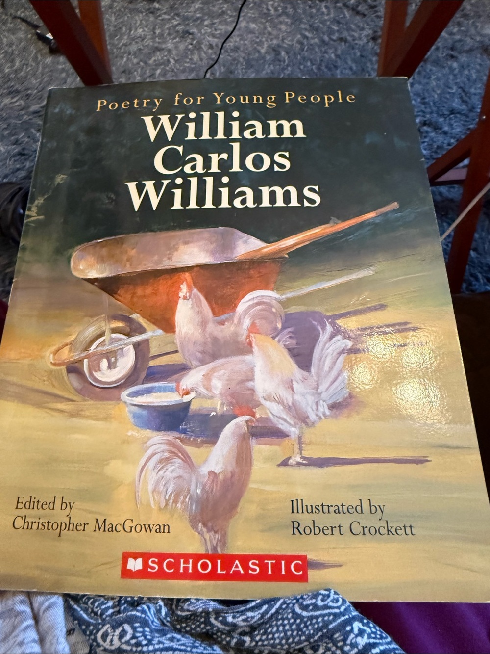 Poetry for Young People Children’s Paperback Book
